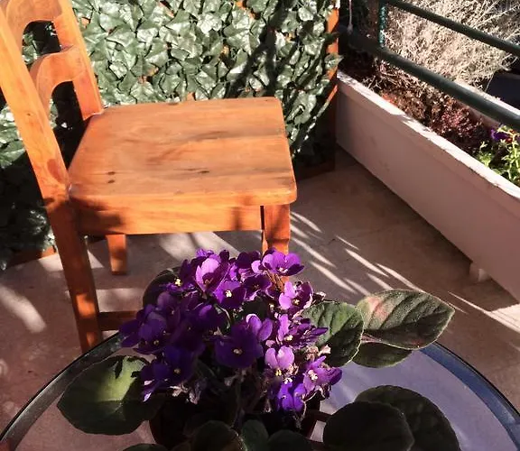 Bed & Breakfast Shelisa