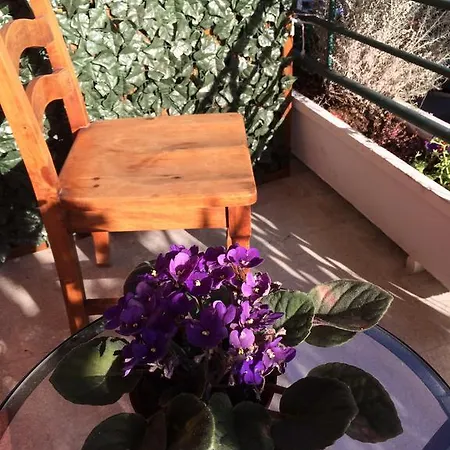 Bed & Breakfast Shelisa B&B