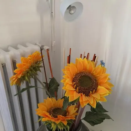 Shelisa B&B Bed & Breakfast