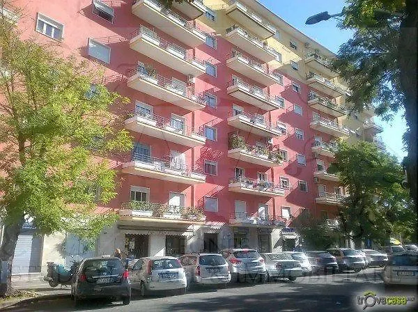 舍利莎住宿加早餐旅馆