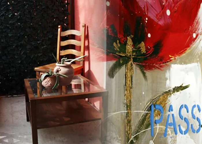 舍利莎住宿加早餐旅馆