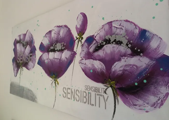 住宿加早餐酒店 舍利莎住宿加早餐旅馆 3*