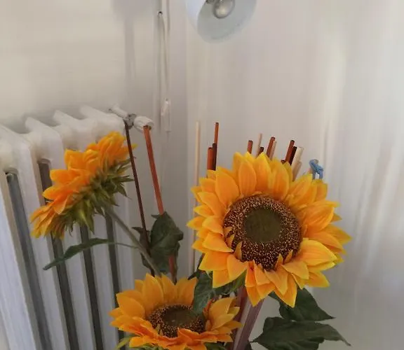 舍利莎住宿加早餐旅馆 住宿加早餐酒店